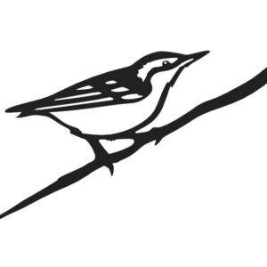 Brhlík obecný - zápich do dřeva