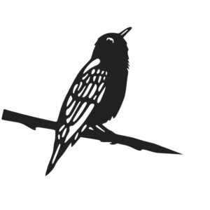 Kos černý - zápich do dřeva